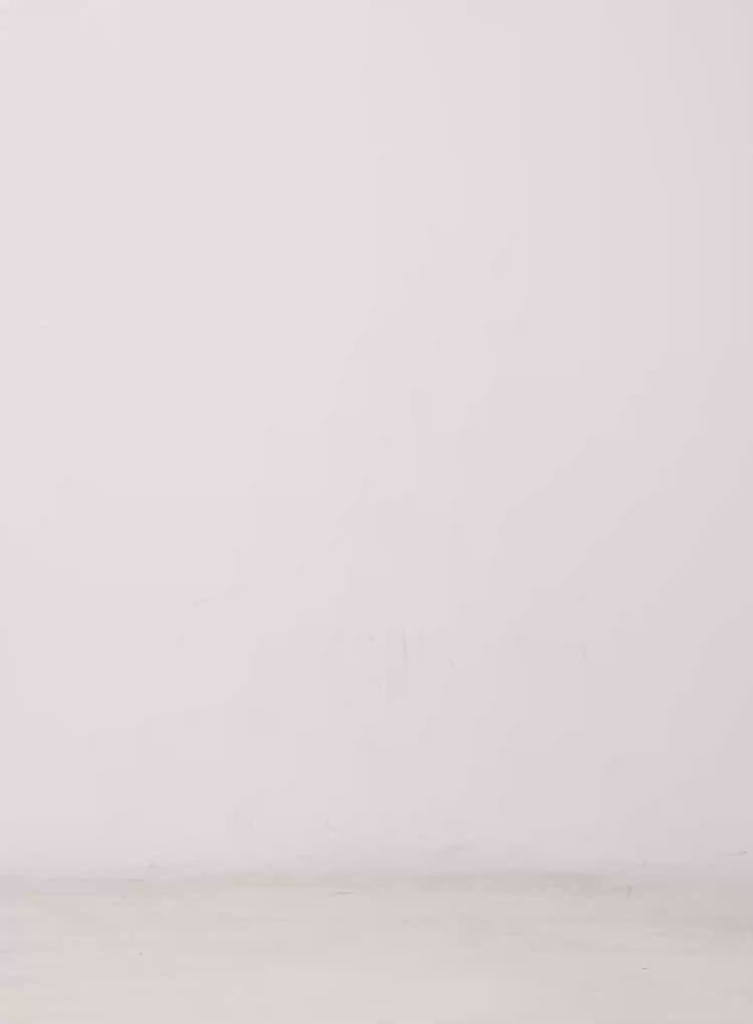 Tulle Asymmetric Midi Skirt IU525